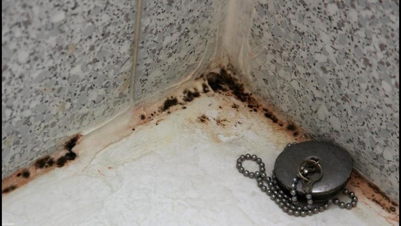 Мастера поделились секретами, как избавиться от плесени на потолке и стенах в ванной комнате