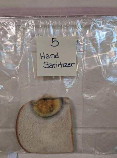 Школа провела научный эксперимент на хлебе, чтобы убедить детей мыть руки