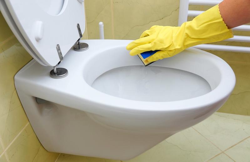 Как часто нужно чистить унитаз и туалетную комнату: мнение эксперта