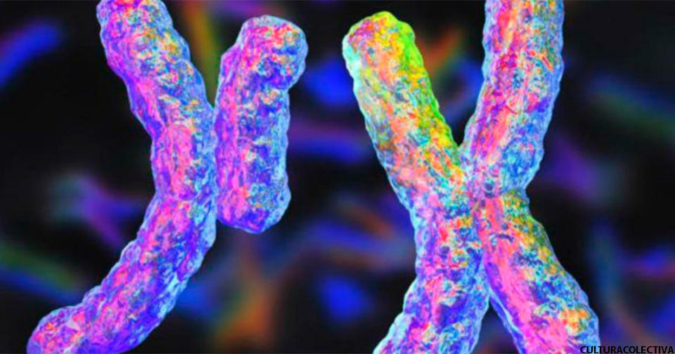 Ученые говорят, что Y-хромосома рано или поздно может исчезнуть
