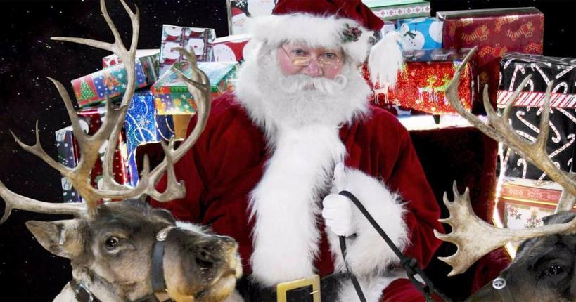 Дети хотели знать, насколько хорошо питаются олени Санта-Клауса, и получили развернутые ответы от ветеринаров со всего мира