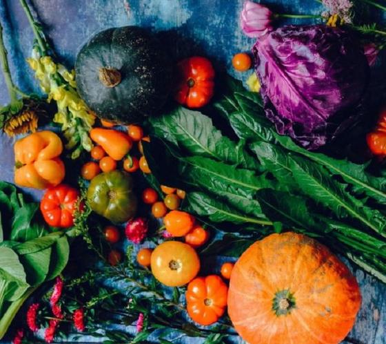 Решила кормить семью овощами в 2020 году: 3 проблемы, с которыми я уже столкнулась, и их решение