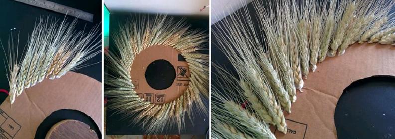 Подруга-флорист дала идею для необычного украшения: делаем венок из пшеницы