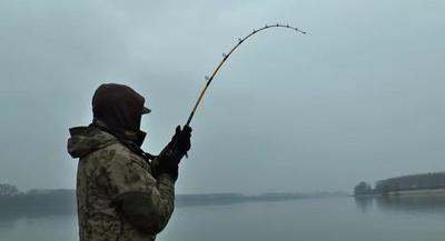 Мужик поймал в озере сома длиной в 2 метра 74 сантиметра
