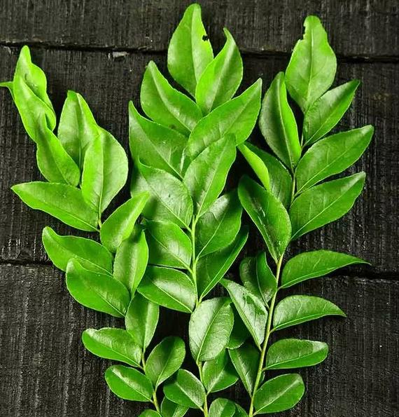 Благодаря рецепту трихолога отрастила шикарную шевелюру за 3 месяца: для этого понадобились лишь листья карри