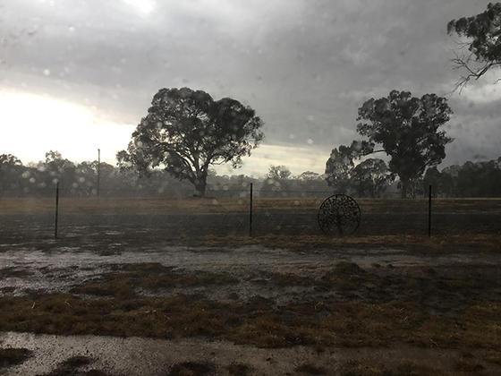 В Австралии наконец-то пошёл дождь. Вот радостные фото оттуда