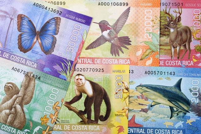 9 интересных фактов о Коста-Рике, которые следует знать, прежде чем отправиться туда в отпуск