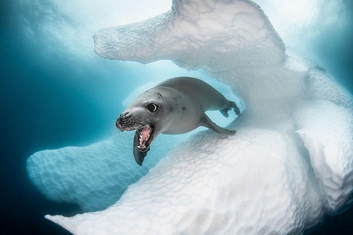 33 лучших фото океана, сделанных в 2019 году