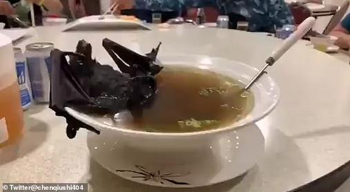Видео о том, как китаянка ест целую летучую мышь в дорогом ресторане