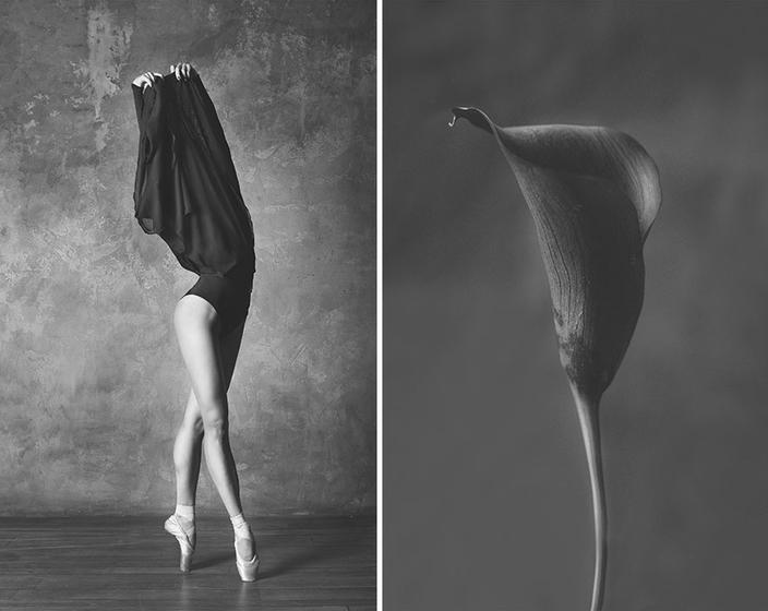 Фотограф создала серию фотографий, сравнивающих цветы и балерин
