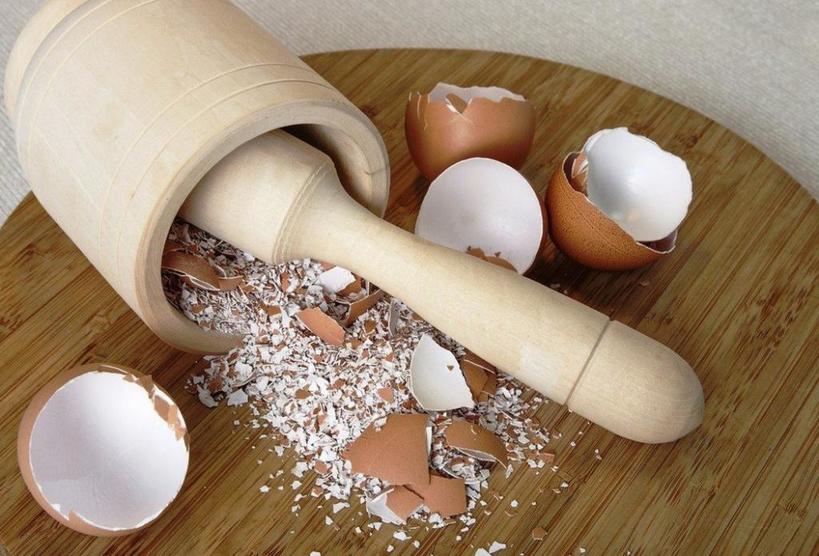 6 лайхфаков с яичной скорлупой: точим ножи и украшаем интерьер