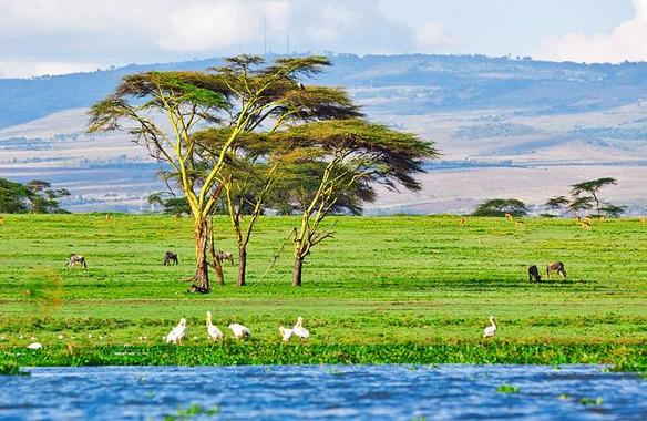 Лучшие достопримечательности и занятия в Кении: почему про заповедник Масаи Мара знают во всем мире