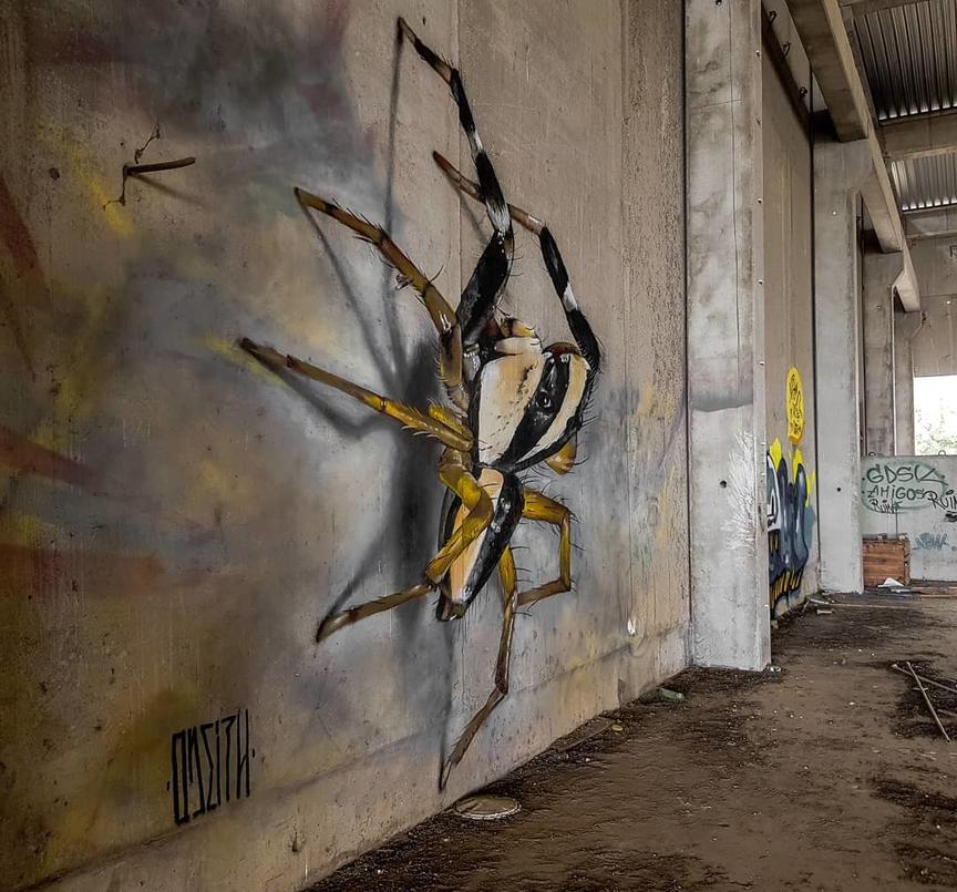 Мужик рисует на стенах гигантских насекомых. Даже на фото страшно
