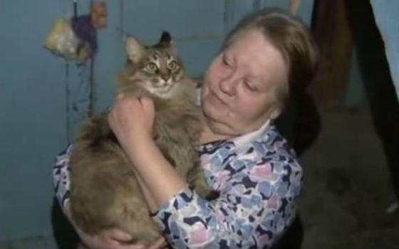Ребёнка оставили в подвале — и долгие часы его согревала только кошка