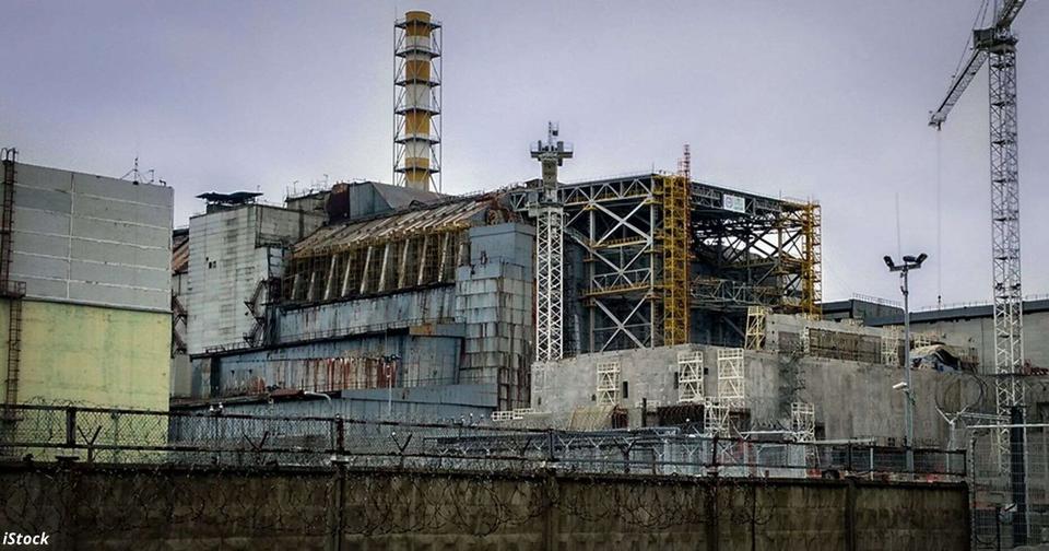 В Чернобыле появился грибок, который питается радиацией