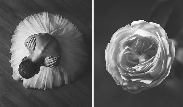 Фотограф создала серию фотографий, сравнивающих цветы и балерин
