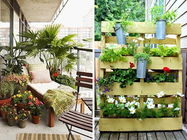 Добавить немного зелени: подруга-дизайнер подсказала, как сделать мой балкон уютней и функциональней