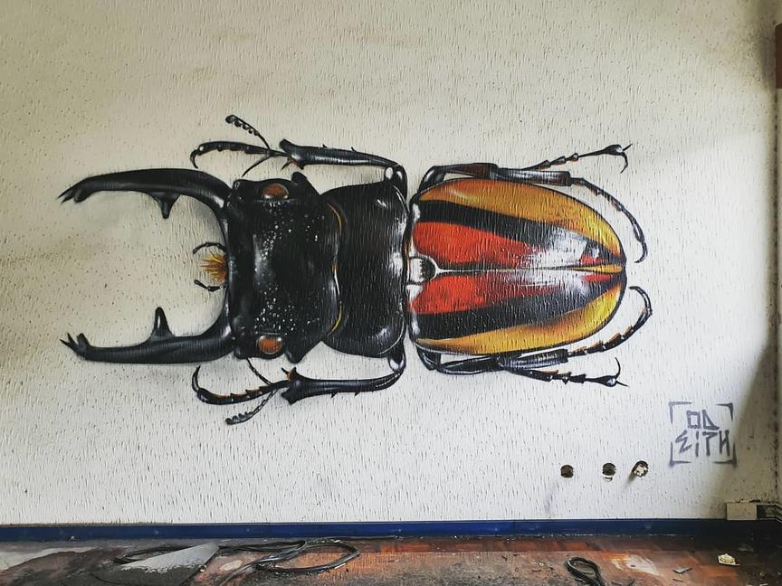Мужик рисует на стенах гигантских насекомых. Даже на фото страшно