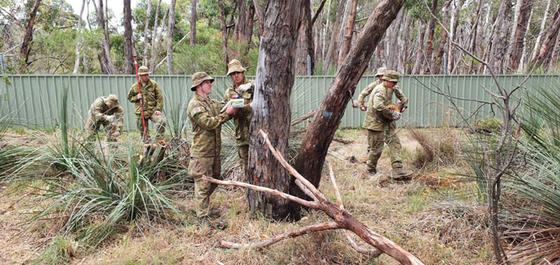 Солдаты австралийской армии потратили отпуск на уход за коалами