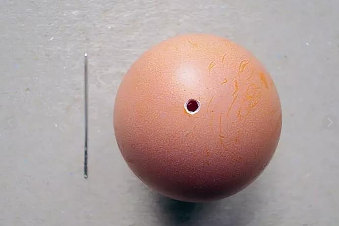 6 лайхфаков с яичной скорлупой: точим ножи и украшаем интерьер