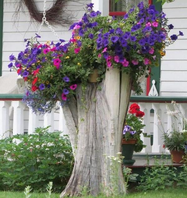 10 вариантов интересных цветочных композиций для клумбы: палитра, дерево и другие