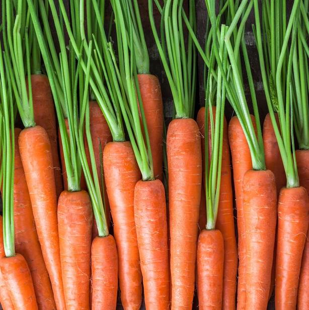 Морковка, капуста и яблоки не портятся несколько месяцев: 12 кухонных лайфхаков, которые помогут продлить 