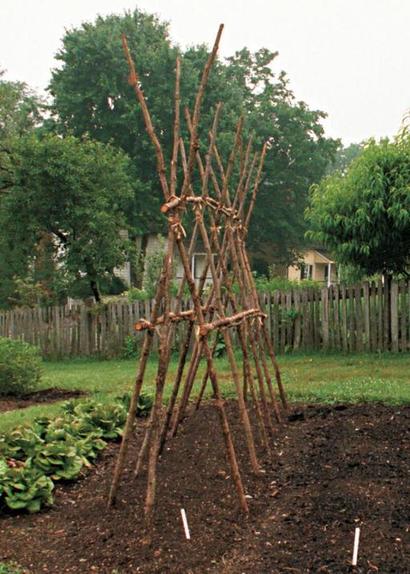 Три простые конструкции для поддержки растений в саду и огороде: понадобятся ветки и веревка
