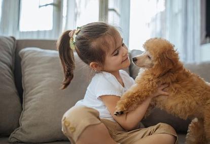 Укрепляют иммунную систему и развивают мышление: какую пользу домашние животные приносят ребенку