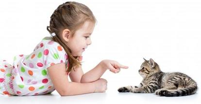 Укрепляют иммунную систему и развивают мышление: какую пользу домашние животные приносят ребенку