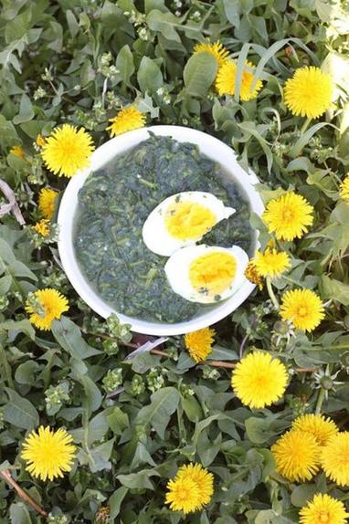 Витаминный суп из крапивы и одуванчиков с яйцом: полезный рецепт