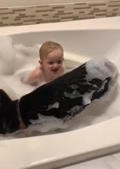 Щенок немецкой овчарки купается в пенной ванне с малышом (веселое видео)