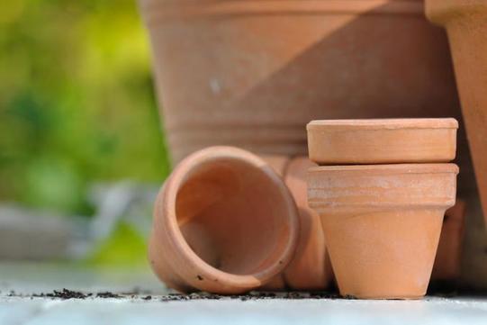 Чистка глиняных горшков, садового инвентаря и не только: много полезных дел, которые я делаю в саду с уксусом