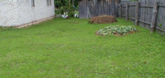 Красиво и эффективно: круглые грядки для кабачков из скошенной газонной травы