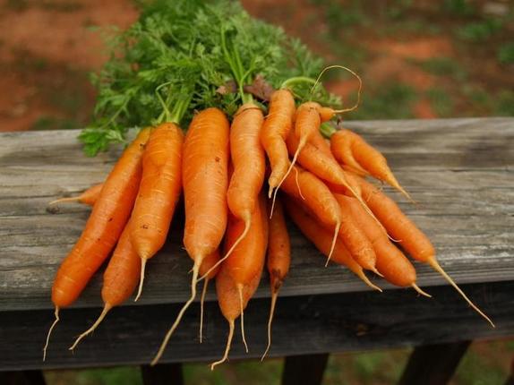 Как сварить картошку, чтобы сохранить все полезные вещества: вам понадобится морковка