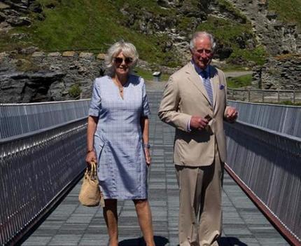 У жены принца Чарльза свой способ борьбы со старением. Камилла использует пчелиный яд