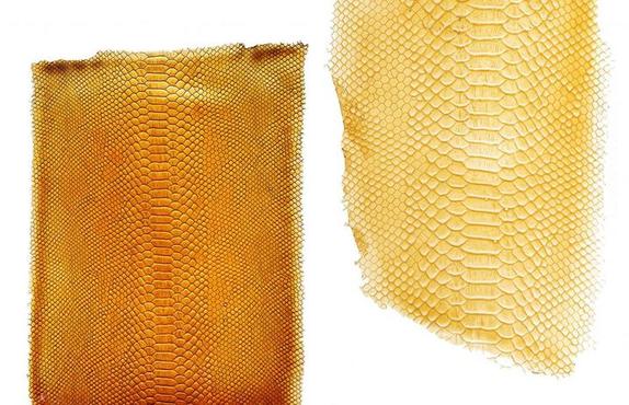 Вьетнамский дизайнер разработал альтернативную кожу, изготовленную из пищевых отходов