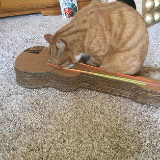 Счастье коту: шикарная когтеточка в форме гитары спасет ваши диваны и украсит интерьер