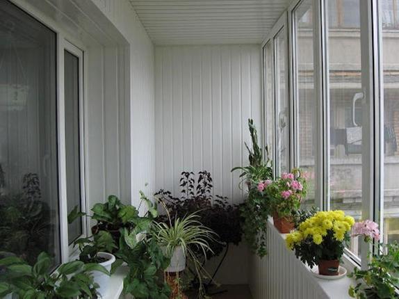 Я утеплила балкон и с наступлением осени устроила на нем огород. Выращивать овощи на балконе несложно