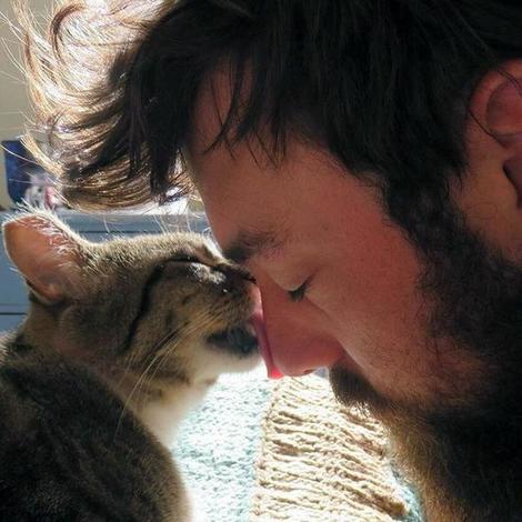 Почему мужчины на сайтах знакомств предпочитают не публиковать селфи со своими кошками + 10 обратных фотопримеров