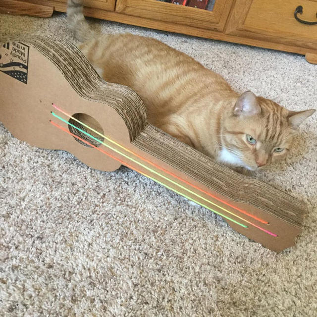 Счастье коту: шикарная когтеточка в форме гитары спасет ваши диваны и украсит интерьер