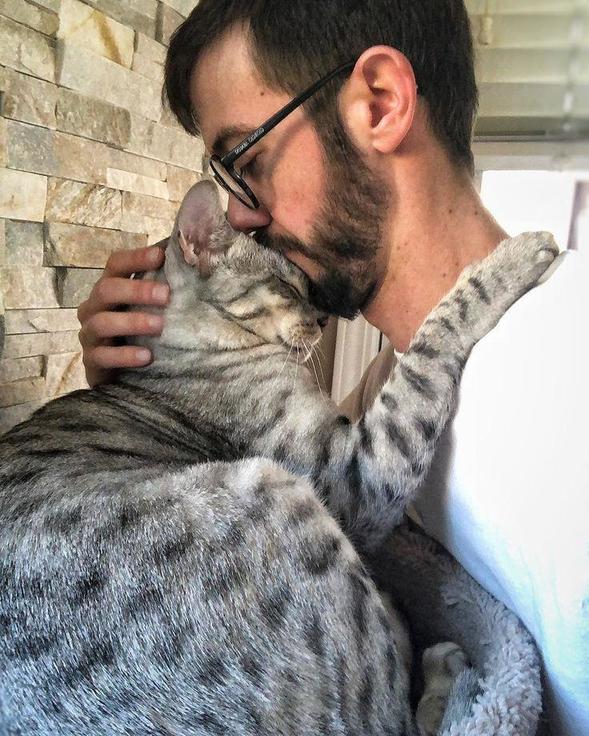 Почему мужчины на сайтах знакомств предпочитают не публиковать селфи со своими кошками + 10 обратных фотопримеров
