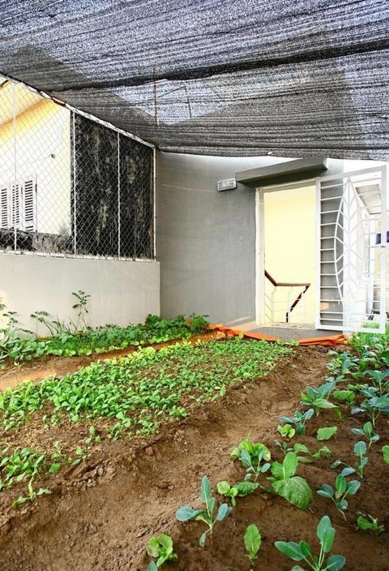 Во время ремонта дизайнеры предложили хозяину дома создать огород прямо на террасе. Пришлось попотеть, но и интерьер, и плантация получились на загляденье