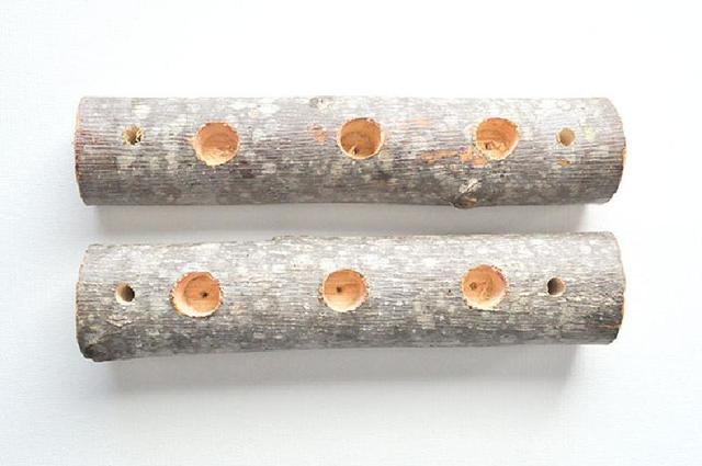 Превращаем деревянные бревна в подвесные горшки для растений: смотрится очень эффектно