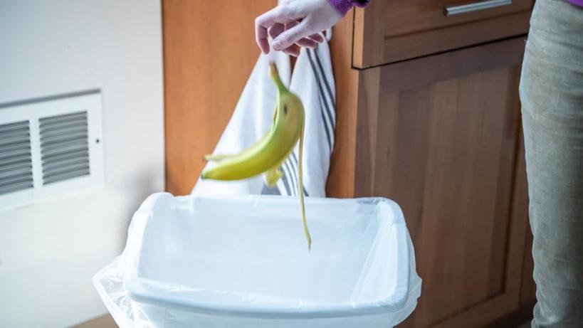 Цитрусы, пищевая сода и эфирные масла: 3 способа избавить мусорную корзину от неприятных запахов