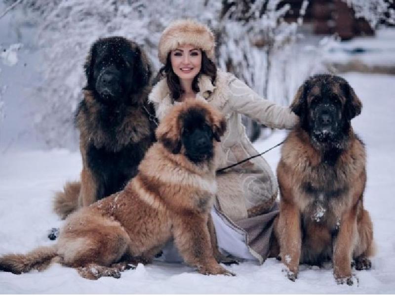 Актриса Анастасия Макеева рассказала о том, как ей не подарили заслуженный выигрыш на конкурсе красоты