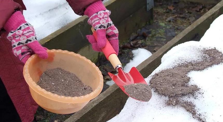 Нужны ли мартовские подкормки в саду и в огороде по снегу: какие, куда и зачем сыпать