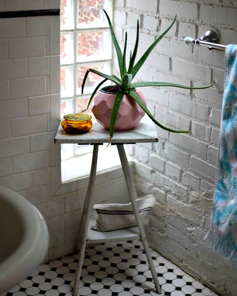 Бегония и нефролепис: какие цветы подходят для украшения ванной комнаты