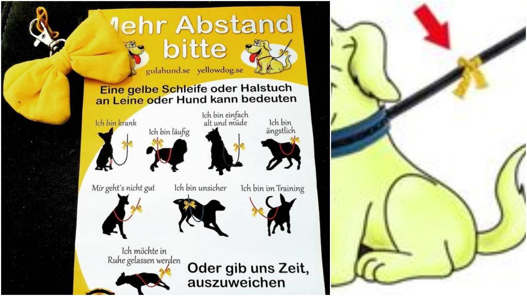 А и правда удобно: в Швеции придумали надевать желтый бант на ошейник как сигнал держаться подальше от собаки
