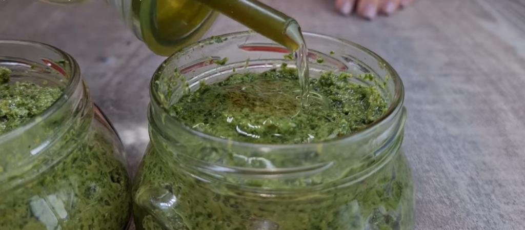 Запасаться листьями хрена пора уже сейчас: из них можно сделать приправу для крепкого здоровья