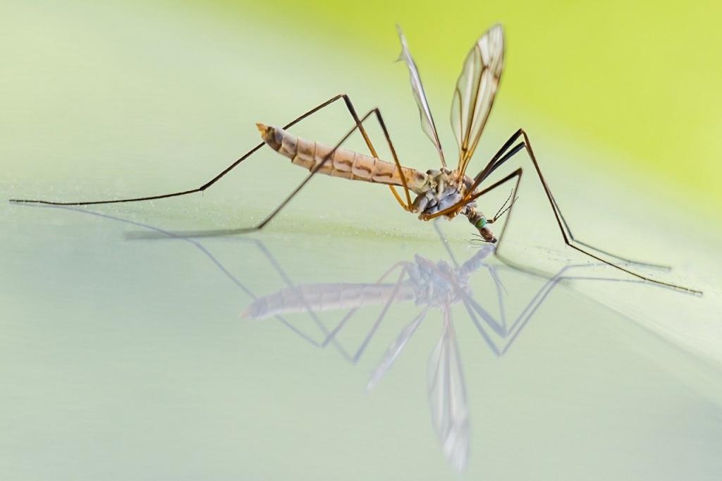 От мух, тараканов и комаров: при смешивании уксуса с корицей получается работающее средство от надоедливых насекомых